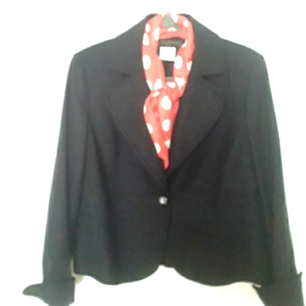 Tailored fall/early spring wool-mix blazer- Size 14 P